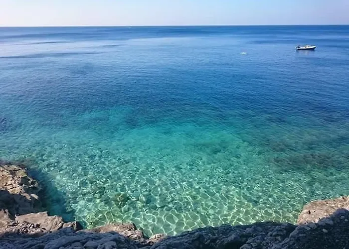 Danka * Pula