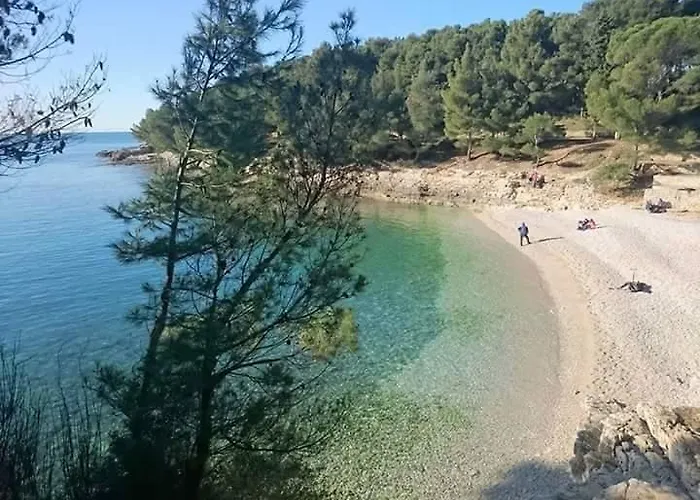 Danka *