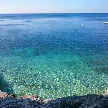 Danka * Pula