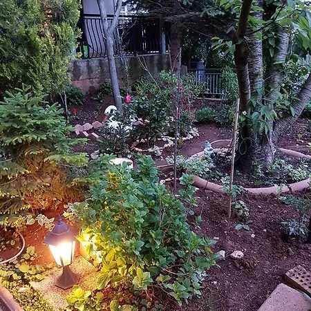 Danka Appartamento *