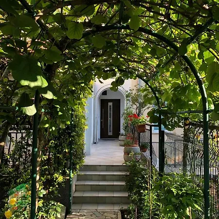 Apartment Danka